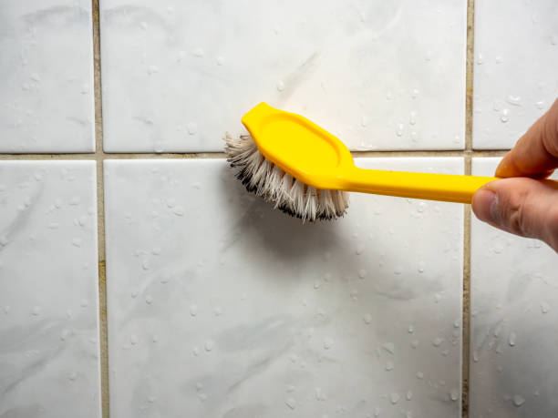 Best Localized Mold Remediation (e.g., coastal areas, humid climates) in Ravenswood, WV
