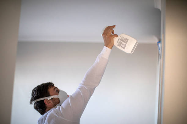 Best Residential Mold Remediation in Ravenswood, WV