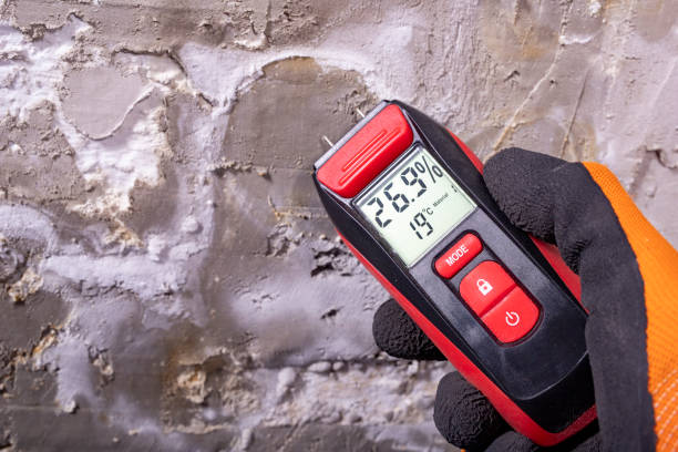Best Mold Testing and Inspection Services in Ravenswood, WV