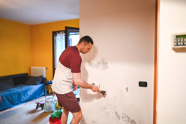 Best Kitchen Mold Remediation in Ravenswood, WV